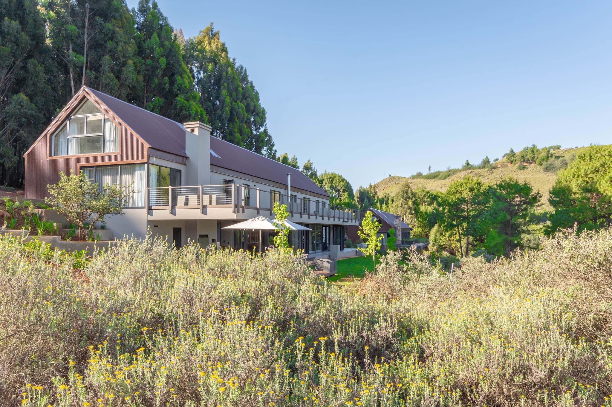 Misty Meadows House