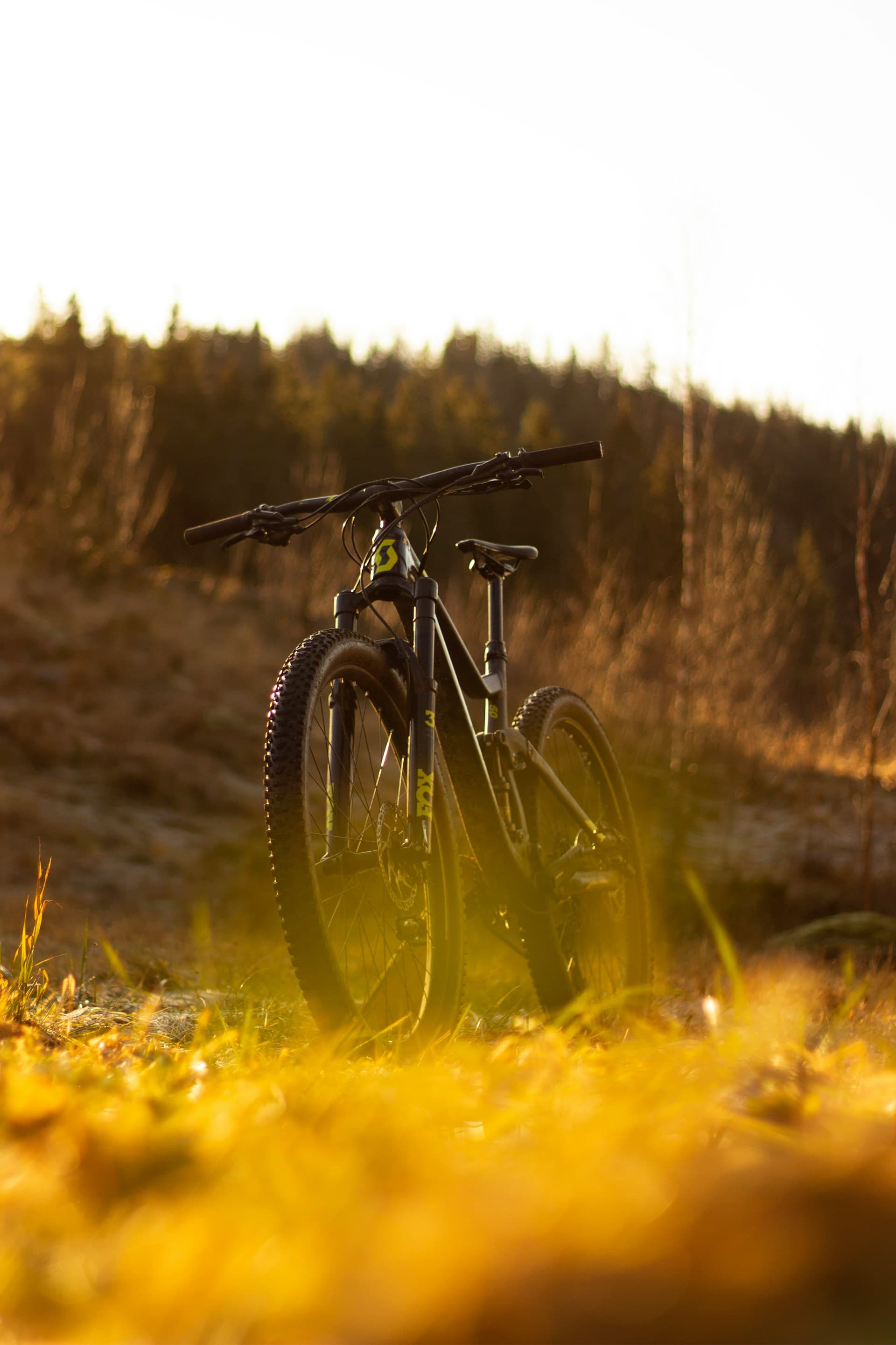 Mountain Biking