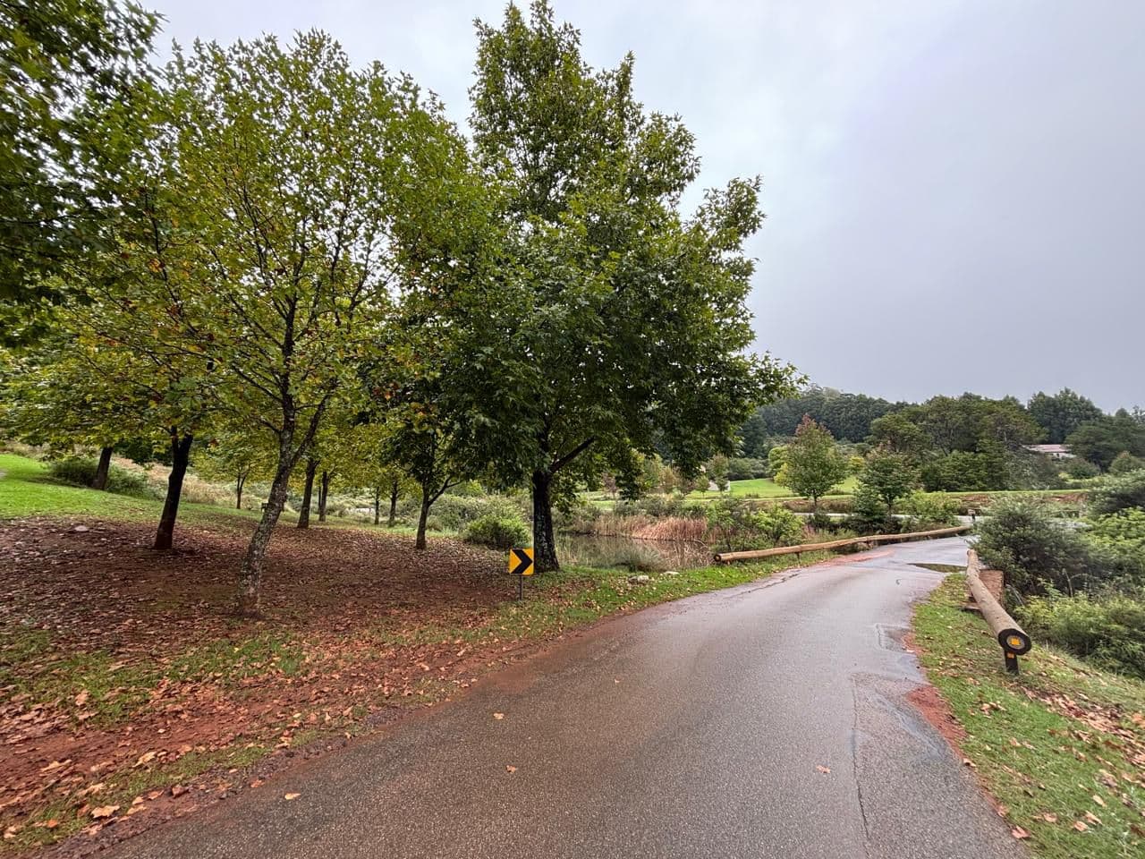 Walking and Hiking